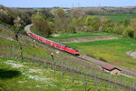 146 xxx mit einer RB nach Stuttgart Hbf am 20.04.2016 in den Weinbergen zwischen Nordheim und Lauffen(Neckar)