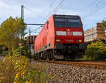 
Die 146 005-4 (91 80 6146 005-4 D-DB) der DB Regio NRW verlässt am 26.10.2019, mit dem RE 9 (rsx - Rhein-Sieg-Express) Aachen - Köln - Siegen, den Bahnhof Betzdorf/Sieg in Richtung Siegen.