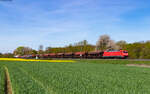 152 023	mit dem EZ 51403 (Wanne-Eickel Wof - Mannheim Rbf) bei Kirch Göns 3.5.23
