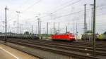 152 080-8 DB rangiert in Aachen-West.
Aufgenommen vom Bahnsteig in Aachen-West bei Sonne und Wolken am 16.8.2014.