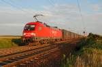 Railion 182 008 befrderte am Abend des 02.09.2009 einen Container Zug Richtung Wien.