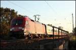 182 011 (9180 6182 011-7 D-DB) bringt den abendlichen IC 1812, Frankfurt(Main)Hbf - Hamburg-Altona, bei Haltern in Richtung Norden. (10.10.2010)

