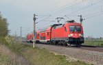 182 023 rollte mit ihrer S2 nach Leipzig-Connewitz am 09.04.16 durch Zschortau und wird gleich am Haltepunkt zum stehen kommen.