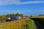 182 569 mit einem Containerzug am 26.09.2017 bei Langenisarhofen. 