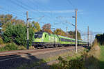 182 521 führte am 04.11.23 den FLX 1243 nach Basel durch Brehna Richtung Halle(S).