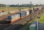 Hectorrails 242.517  Fitzgerlad  bei Porz(Rhein) am 02.10.2013