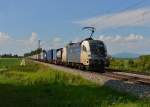 182 522 mit einem Containerzug am 17.07.2014 bei Langenisarhofen. 