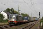       Hectorrail 242.502  Zurg  am 21.9.13 mit einem KLV in Ratingen-Lintorf.