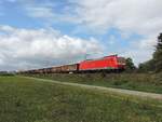 Schwindratzheim - 12.09.17 : 185 032 mit Rastatt Umleiter 43282 Forbach - Kehl.