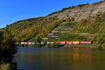 Bei Karlburg hat man einen schönen Blick vom Mainufer auf die Gambacher Weinlagen. Der 05. Oktober 2018 war ein milder Herbsttag mit klarer Sicht und warmen Licht, so daß zum Ende des Auslugs diese Stelle gewählt wurde, um noch entspannt ein paar Landschaftsimpressionen einzufangen. Der von 185 283 geführte KT 50337 von Maschen Rbf nach Wackerwerk setzte mit seinen bunten Containern den gewünschten Kontrast zur frühherbstlichen Vegetation.