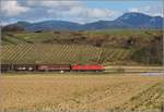 Bahn im Markgräfler Land.