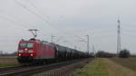 185 056 zieht einen Güterzug auf der Riedbahn gen Norden, hier zwischen Riedstadt Wolfskehlen und Groß-Gerau Dornheim zu sehen.