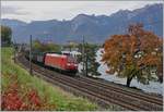 Gut 25 Stunden nach dem ersten Bild konnte ich mit der DB 185 109-6 erneut eine DB 185 vor dem Novelis Güterzug von Sierre nach Göttigen kurz nach Villeneuve fotografieren. 

21. Oktober 2020