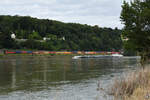 Anfang August 2021 war auf der linken Rheinstrecke bei Remagen ein von der Elektrolokomotive 185 162-5 gezogener Containerzug zu sehen.