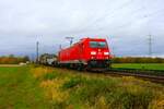 DB Cargo Bombardier Traxx 185 356-3 mit Mischer in Bischofsheim am 04.11.23 