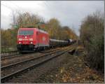   Durch den Herbst 1   185 209-4 mit gemischtem Zug in Wanne-Unser-Fritz  - 10.November 2008 -