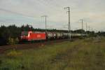 Br 185 199-7 mit Kesselzug in richtung Stendell durch der berliner Wuhlheide, 06/10/2010.