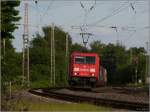 Ein knalliges Rot umgeben von satten Grntnen, so sieht der Bahnsommer 2012 aus.
Die 185 220-1 ist unterwegs auf der KBS 480 mit schwerer Last am Haken. 
Location: Eschweiler / Kr Aachen. 5.Juni.2012.