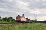 185 113 mit gem GZ auf der Rheintalbahn bei Waghusel am 9.6.2012