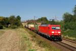 185 382 mit Containerzug bei Dettenhofen (23.08.2012)