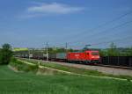 185 266 mit dem Wenzel-KLV am 09.05.2013 bei Taufkirchen an der Pram.