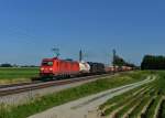 185 216 mit einem Gterzug am 01.07.2013 bei Langenisarhofen.