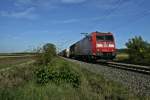 185 016-3 mit dem 44607 nach Basel Rbf am Nachmittag des 19.10.13 nrdlich des Weindorfes Hgelheim.