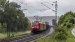 185 165-8 und eine zweite ihrer Art ziehen ein langen Ölzug durch Linz am Rhein, im Hintergrund das rechtsrheinische ehemalige Wiederlager der Brücke von Remagen. (30.07.2013 *neue Version*)