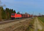 185 373 mit einem Erzzug am 18.02.2014 bei Langenisarhofen.