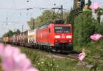 185 023 mit Gterzug Richtung Basel am 09.05.2011 in Herbolzheim (Breisgau)