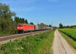 185 254 mit einem Stahlzug am 28.09.2014 bei Langenisarhofen.