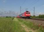 185 146-8 zu sehen am 01.06.15 in Neu-Ulm.