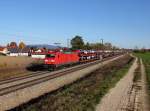 Die 185 219 mit einem Autozug am 01.11.2015 unterwegs bei Langenisarhofen.