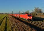 185 356 mit einem Autozug am 14.01.2016 bei Plattling. 