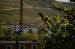 Blick über den Rhein auf eine unbekannte 185 mit ihrem Güterzug auf Rüdesheimer Gemarkung. Donnerstag 5.5.2016