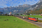 185 091 mit einem Güterzug am 22.10.2016 bei Flums.