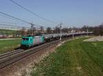 Die 185 610 mit einem Kesselzug am 08.04.2018 unterwegs bei Kimpling.