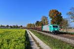 185 619 mit DGS 45993 am 12.10.2018 bei Langenisarhofen. 