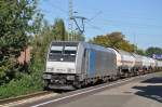 185 684 Friedrichsfeld 10.10.2010 