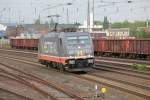 Ein seltener Gast auf der KBS 430. Hectorail 241 008 durch Paderborn am Abend des 05/06/12 Richtung Soest unterwegs.