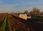 185 637 mit einem Autozug am 11.11.2015 bei Plattling. 