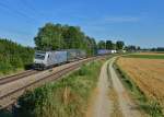 185 690 mit DGS 41156 am 31.07.2015 bei Langenisarhofen. 