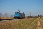 Nachschuss am 07.02.2015 auf die RheinCargo 185 526-1  RSB LOGISTIC , als sie bei Hügelheim als Lokzug in Richtung Norden fuhr.
