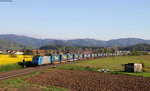 185 527-9 mit dem DGS 43714 (Borgomanero-Genk) bei Kollmarsreute 19.4.16