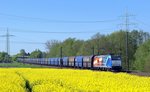 Ascendos Rail Leasing 185-CL 002 (185 502)  Salzgitter Mannesmann Precision , vermietet an Captrain Deutschland, schleppt am 07.05.16 einen Kohlezug durch Marl (NI) nach Bremen.