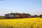 185 509-7 und  185 516-2 mit einem Kohlezug bei Woltorf 6.5.16