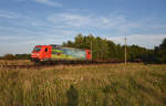 185 401-7 mit schicker Werbung der DB Cargo und einem fast leeren Containerzug, unterwegs in Richtung Hamburg. 3km östlich von Büchen, 16.08.2018.