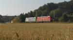 Die Claas Werbelok und eine Ralion Lok bei Renningen Sd am 2013:07:25 in Richtung Kornwestheim