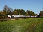 Die 186 443 mit einem KLV-Zug am 14.10.2017 unterwegs bei Ostermünchen.