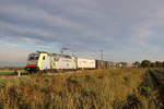 BLS mit einer Baureihe 186 auf dem Weg in die nahen Niederlande an einem lauen Abend im Oktober 2018 bei Breyell